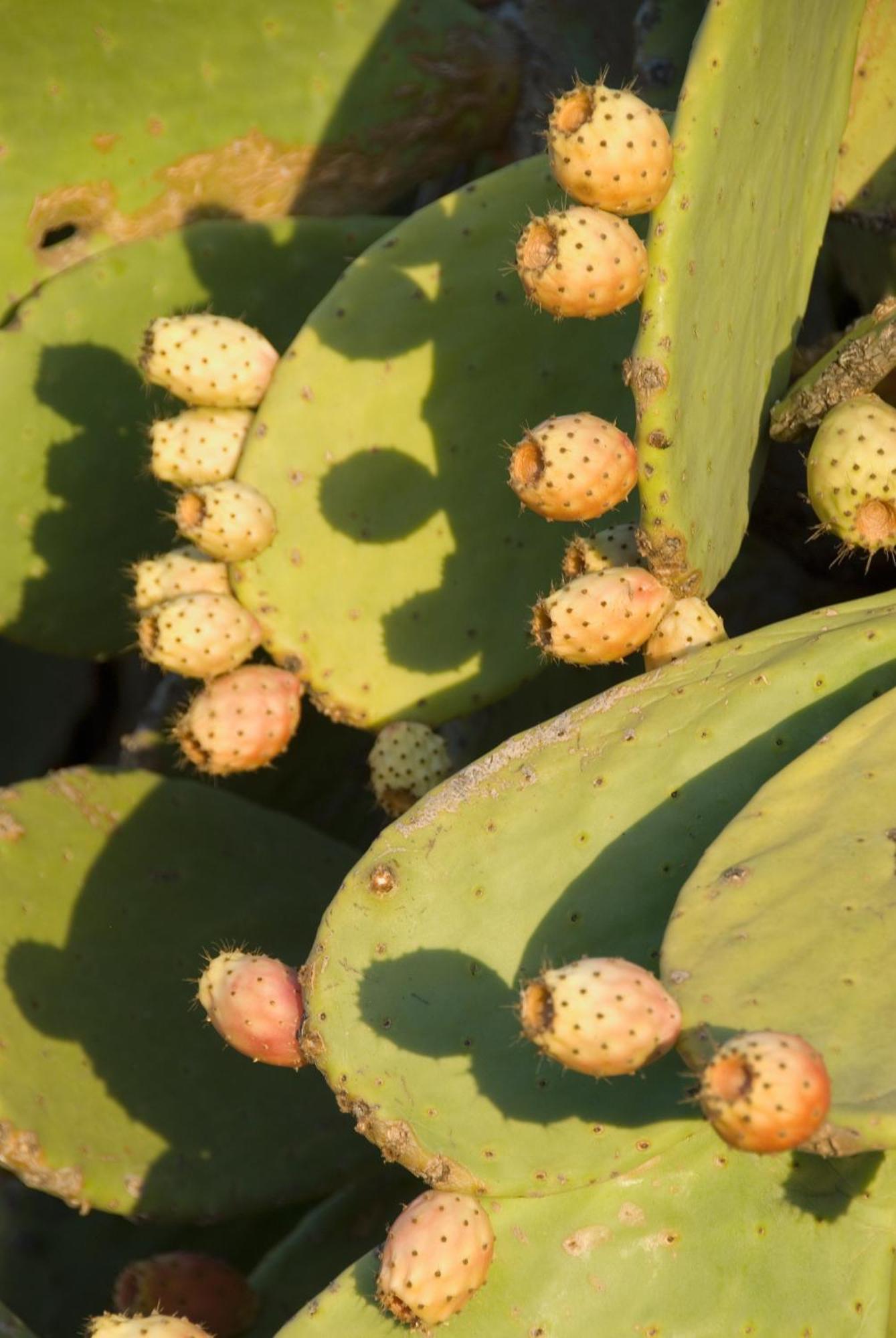 El Jardin De Los Suenos 로달킬라르 외부 사진